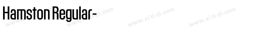 Hamston Regular字体转换 Hamston Regular字体转换
